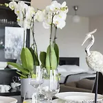 Diune Apartman Kołobrzeg
